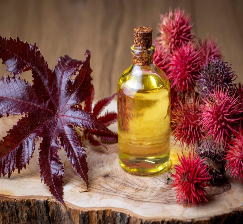 organic castor oil