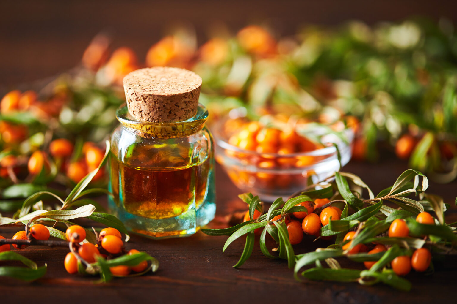 sea buckthorn oil